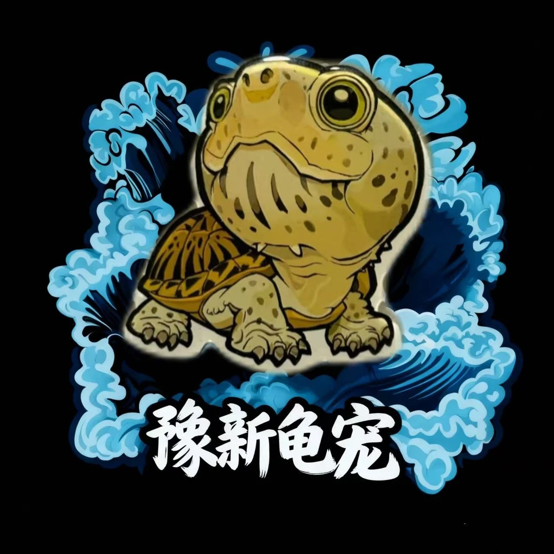 【★直播挑龟】超萌好物①★热门蛋龟冷水麝香剃刀龟龟苗（乱拍发龟粮）