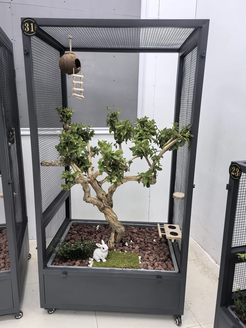 高150长87宽67生态鸟笼＋流水