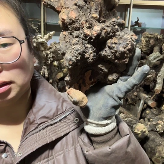 香榧木卡****^火琉璃的曼联摆件