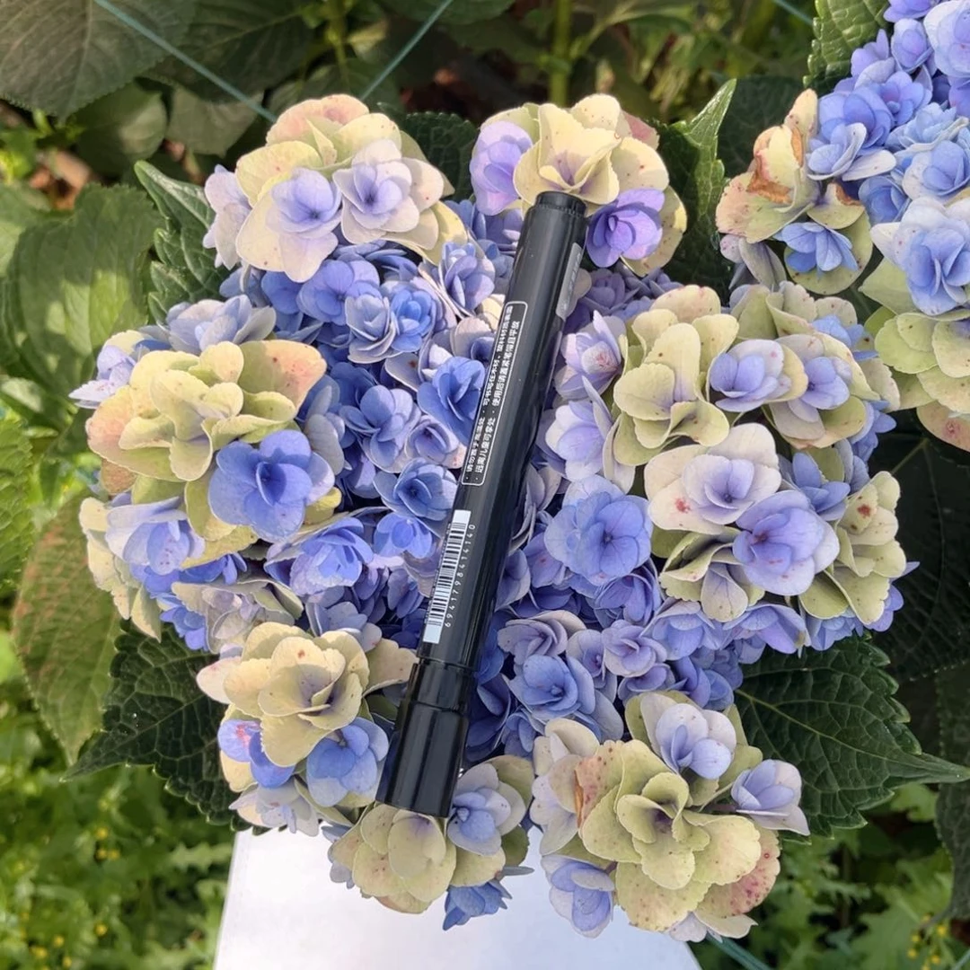 大部分开放少量花苞212 号绣球花一支（3支包邮）