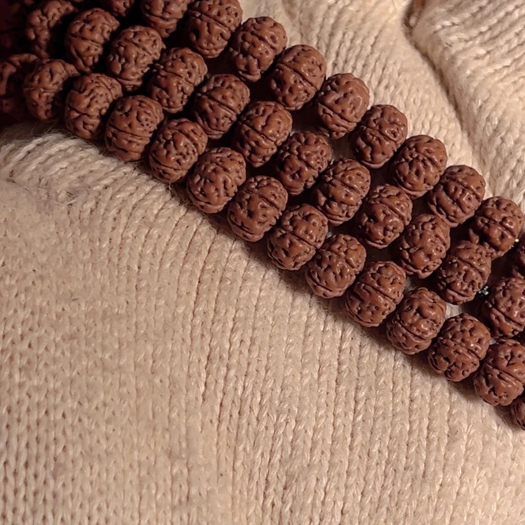 吊坠金刚菩提李****?老树王