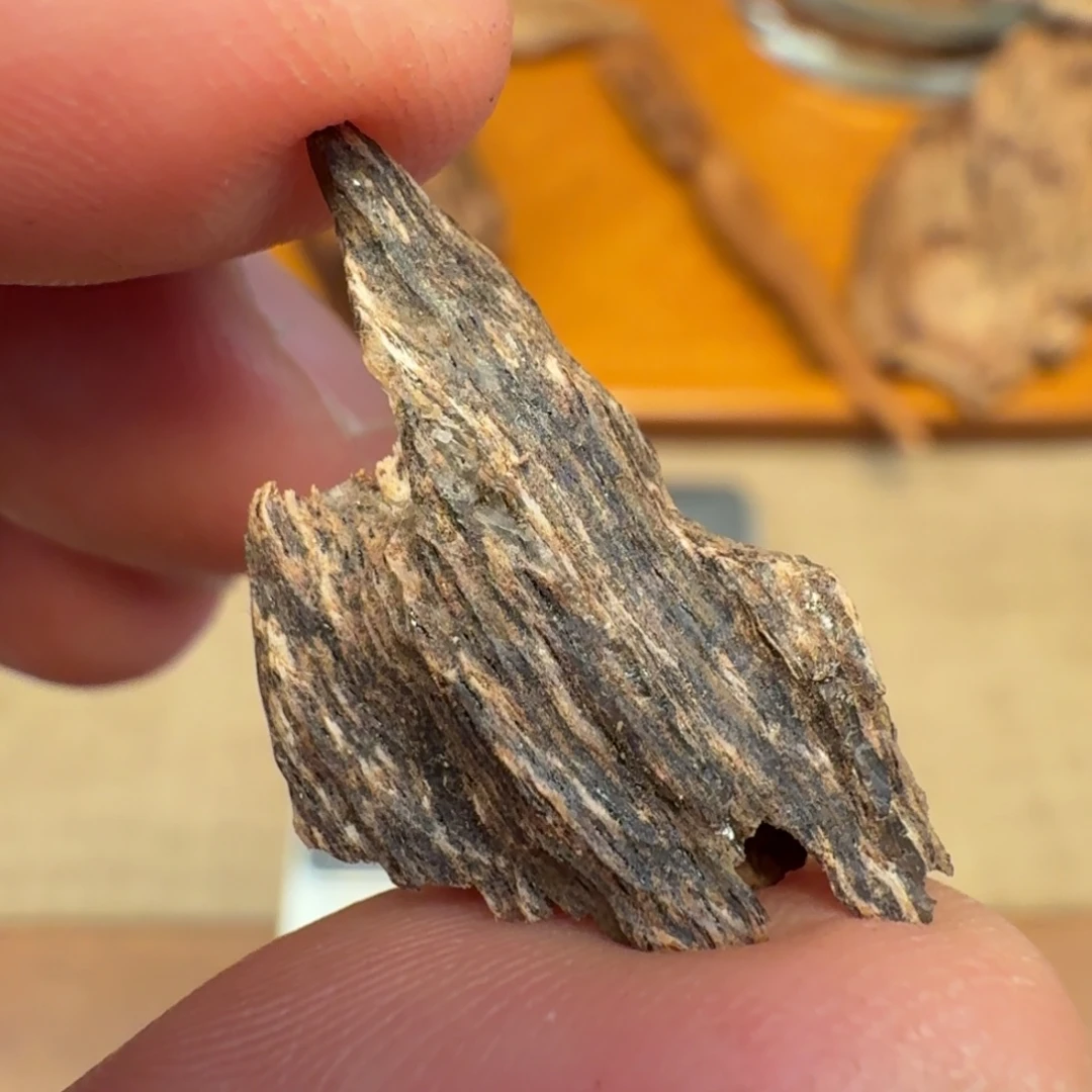 沉香国香香港料子