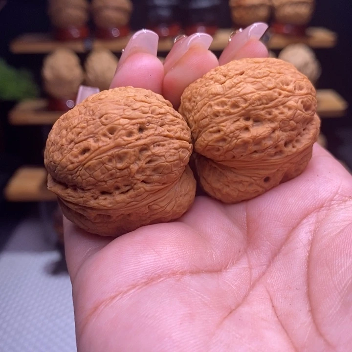 木质类云铁树皮元宝47号36尺