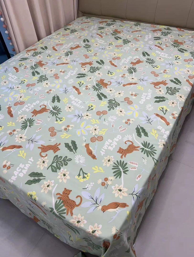 230*250cm床单亲肤透气学生款被单斜纹秋冬款加厚磨毛单子  阿狸