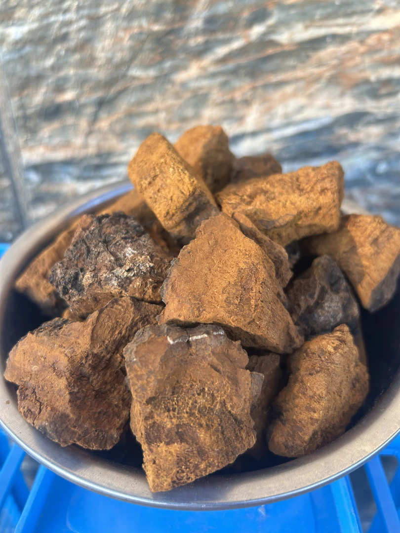 黑龙江小兴安岭野生桦树茸