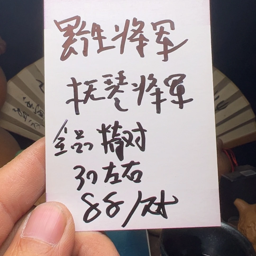 文玩核桃吊坠我们