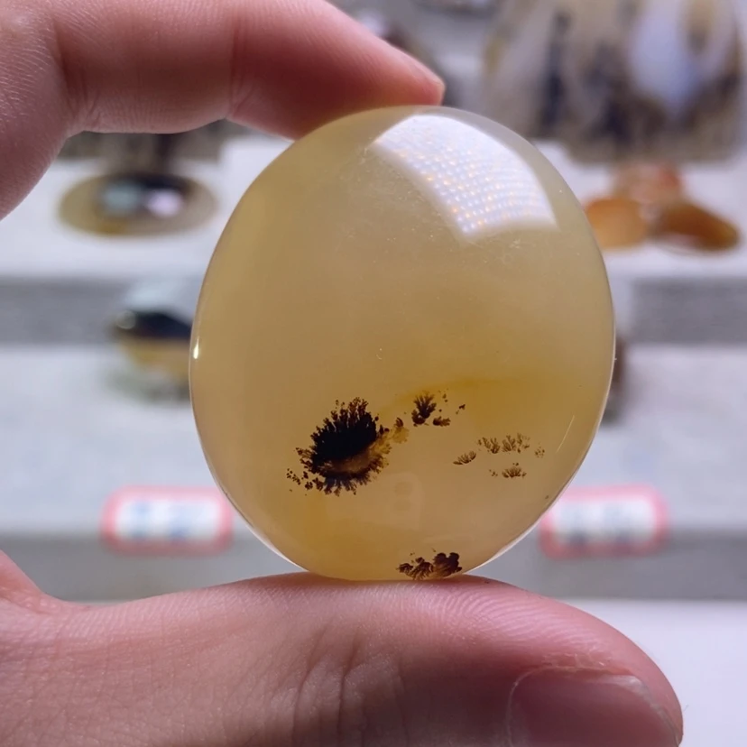 【闪购商品】未镶嵌玛瑙/玉髓珠宝奇石