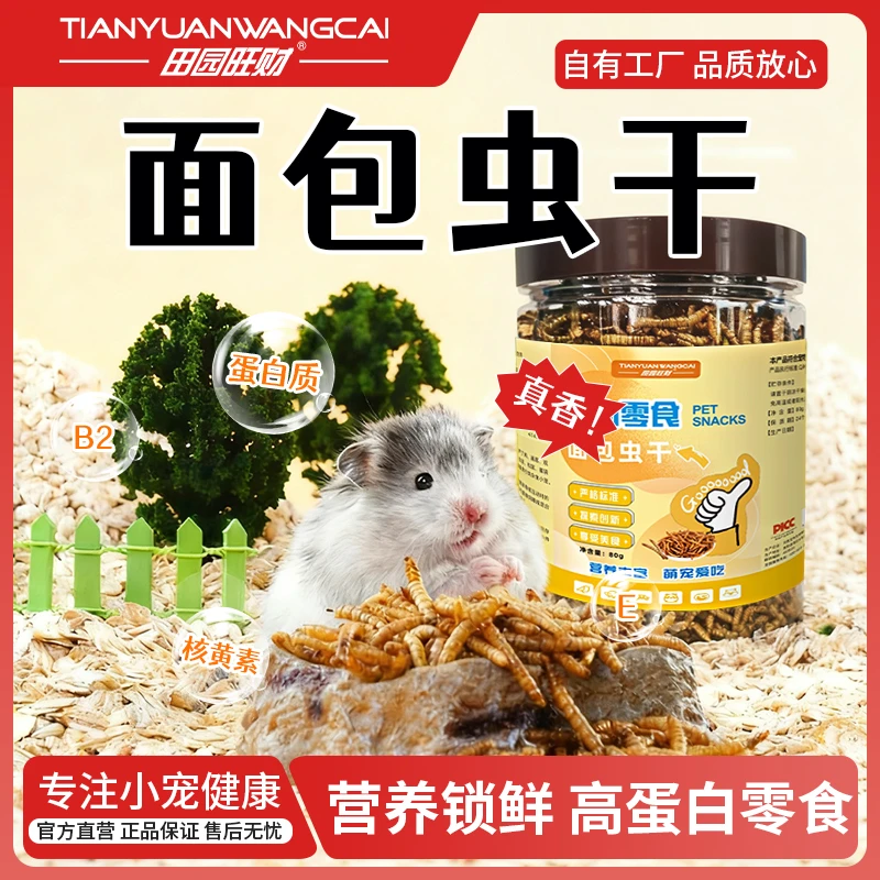 面包虫干黄粉虫干仓鼠零食冻干金丝熊豚鼠通用磨牙互动补充蛋白质