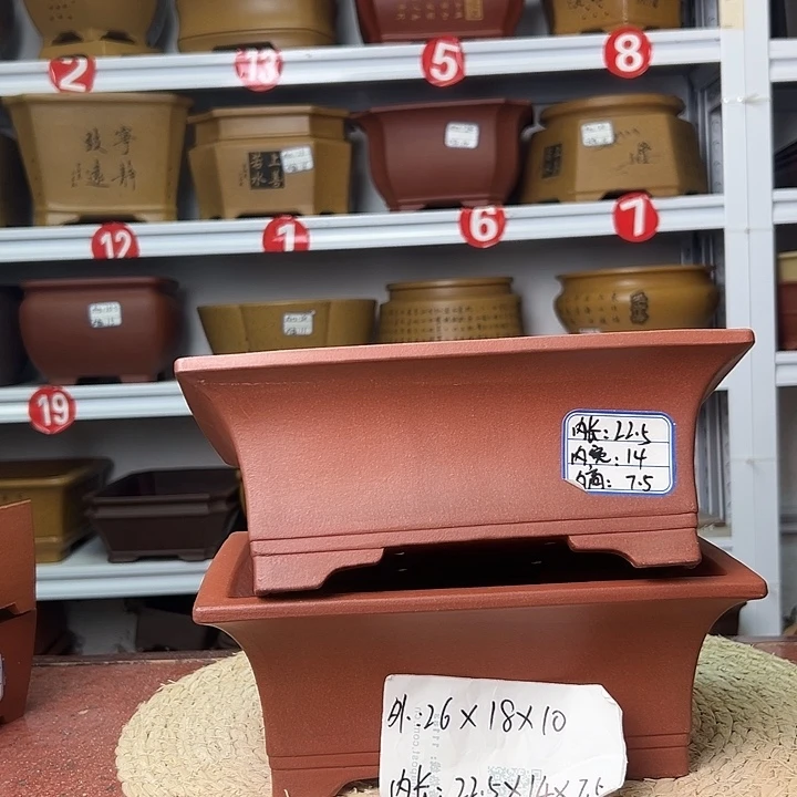 紫砂花盆蛇年大吉