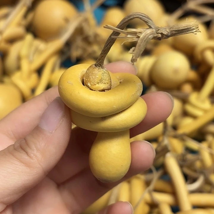 $***$一把葫芦便宜漏了