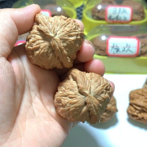 文玩核桃吊坠43精配白狮子红皮
