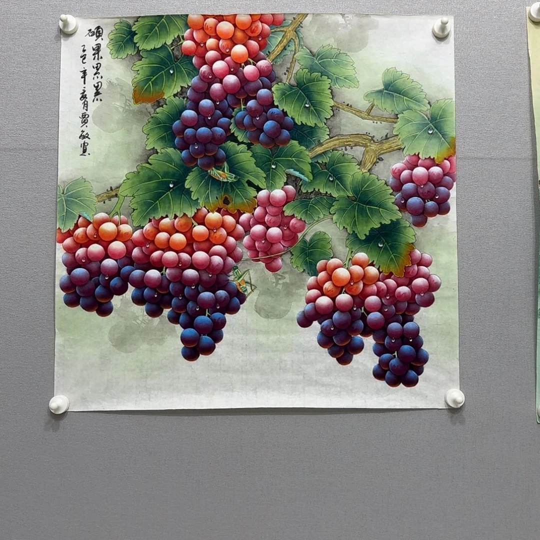 国画工笔葡萄斗方贾敏
