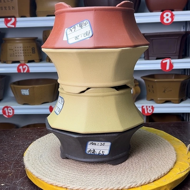 紫砂花盆你在一起