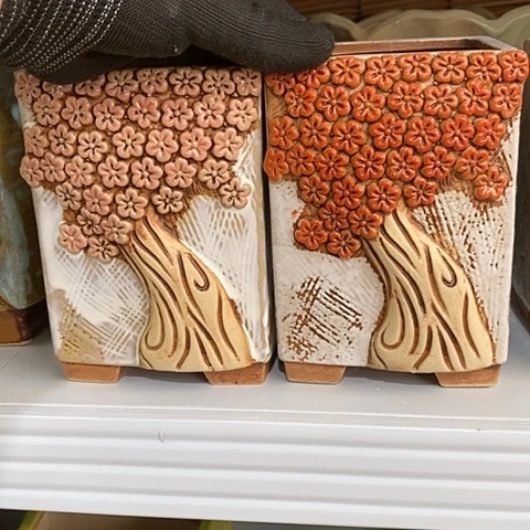 【闪购商品】红陶卓**业1