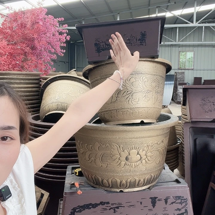 盆景盆有空50口径一个