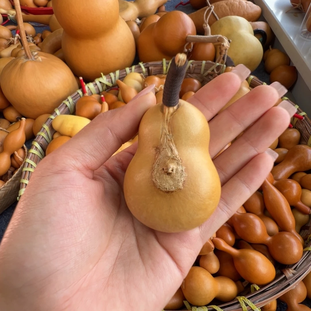 粲***笑葫芦葫芦葫芦葫芦