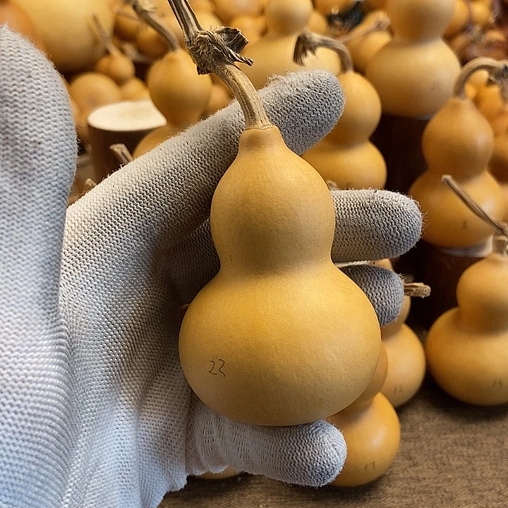 文玩葫芦 完美主义者 慎拍23