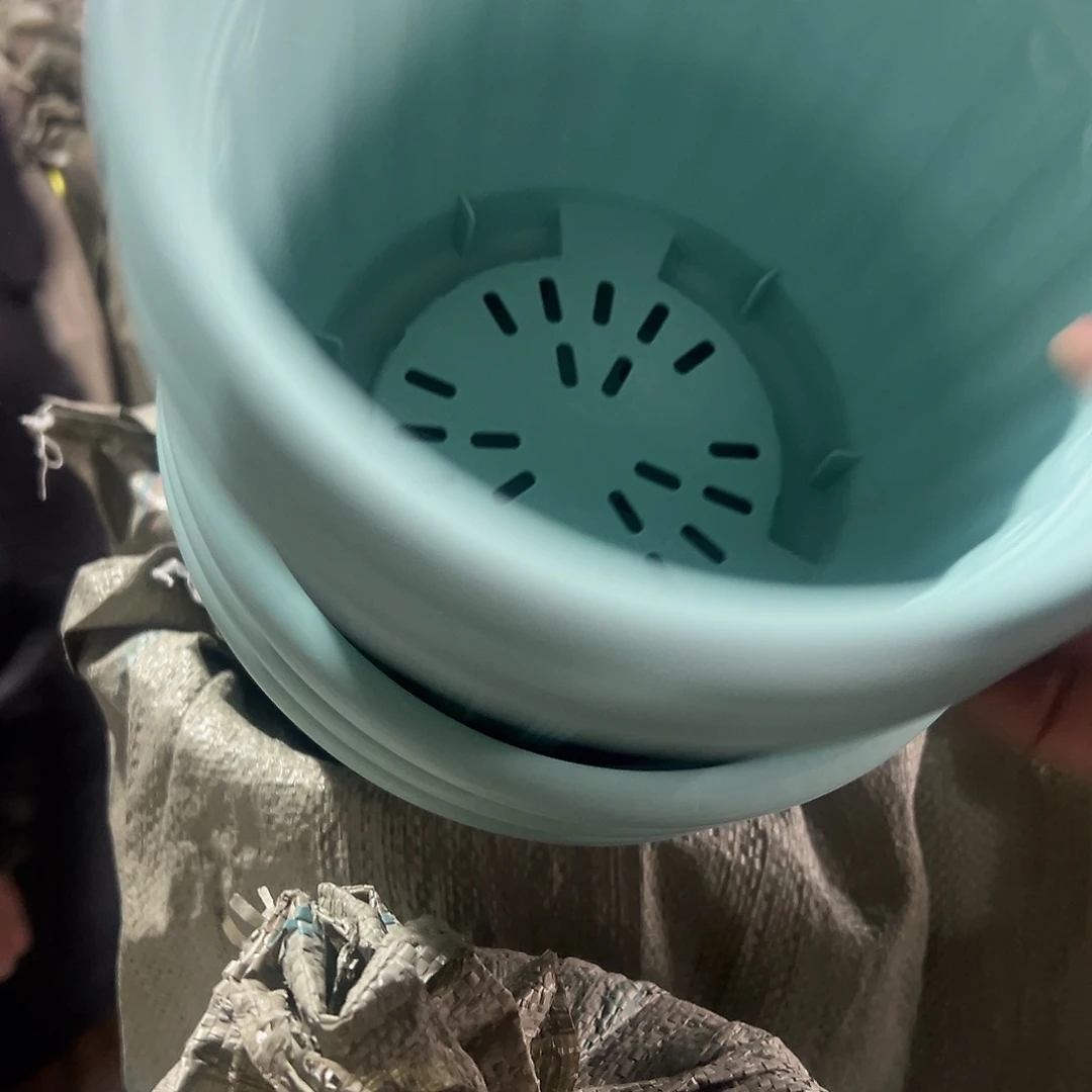 树脂罗马240浅绿3个无托