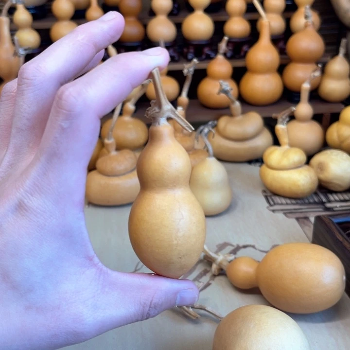 厚皮老蚂蚁小遐思27