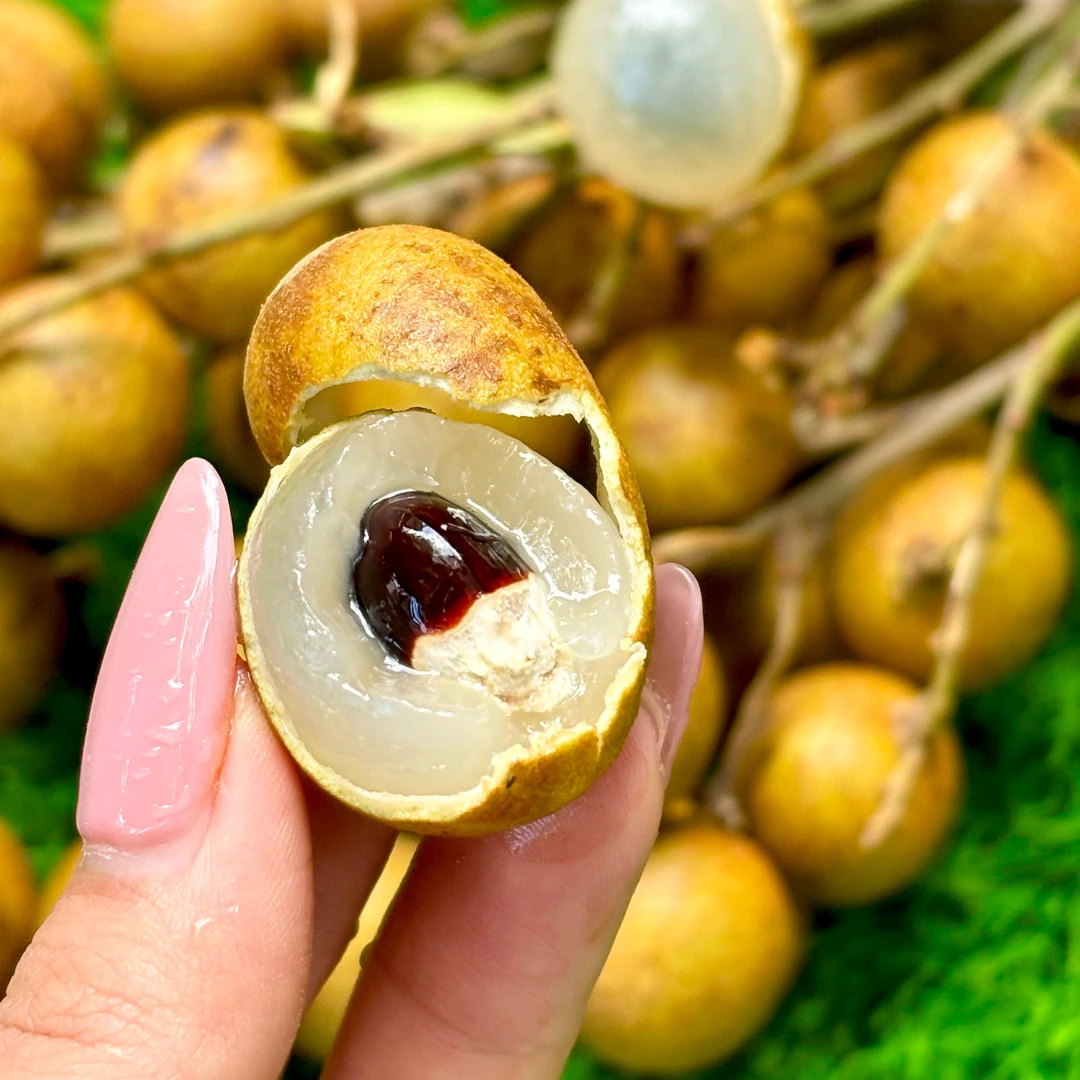 松风本新鲜龙眼个大【核大】甜度高肉质软嫩化渣易离核汁多香甜桂