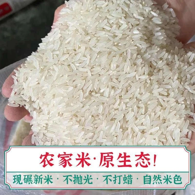 【中科发五】不抛光打蜡东北农家米长粒香米现磨现发自产自销