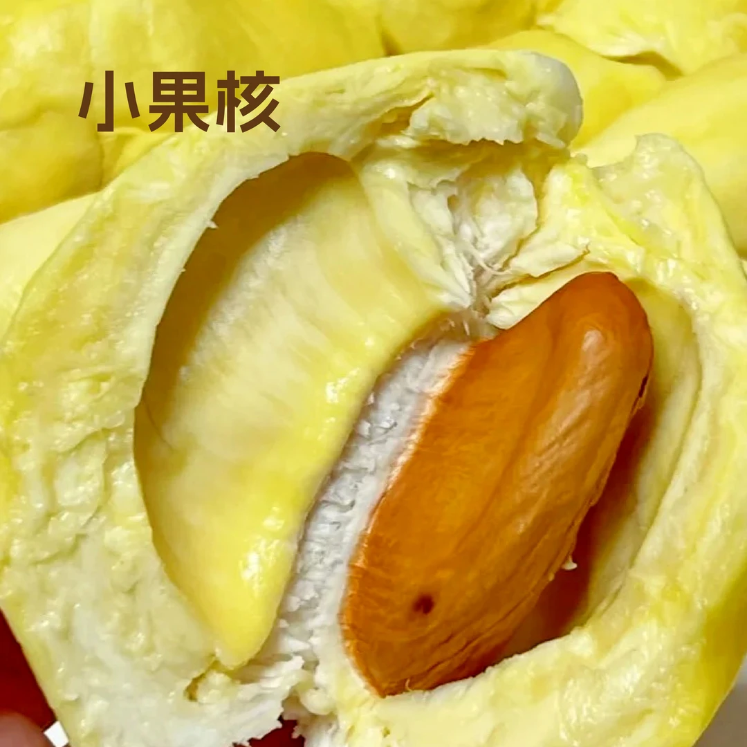 泰国金枕榴莲新鲜核小榴莲一果一重金枕泰国