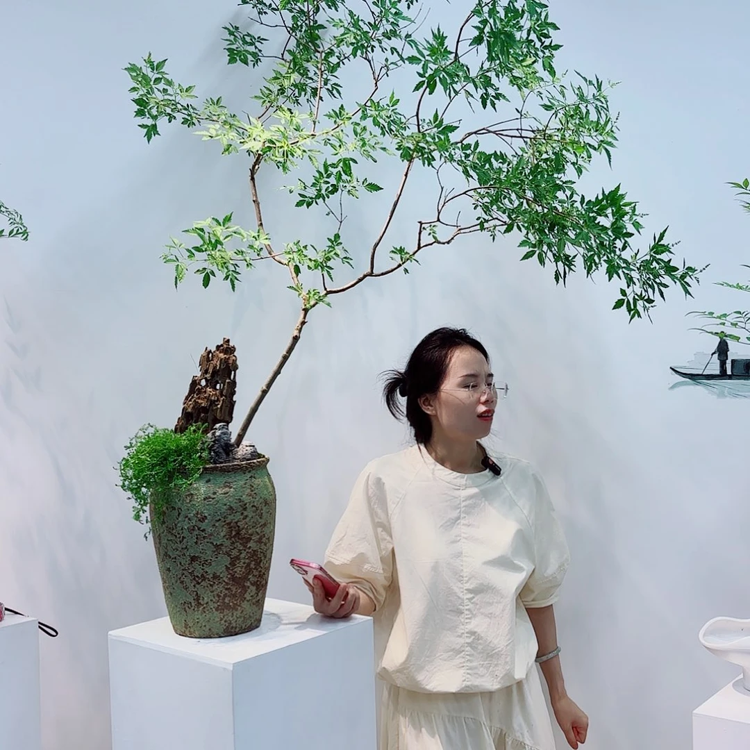 高端绿植一物一拍