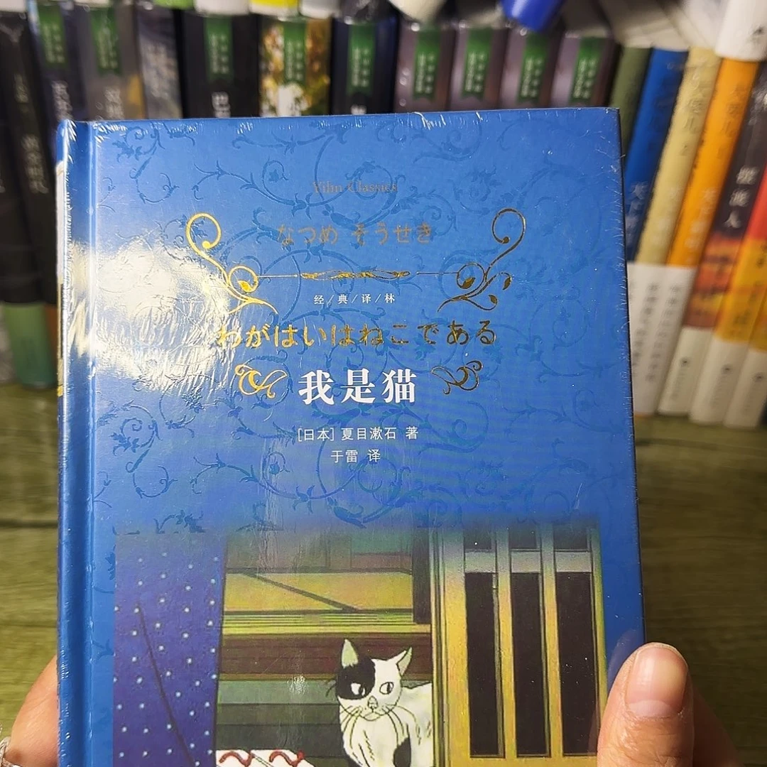 我是猫闪购闪购10