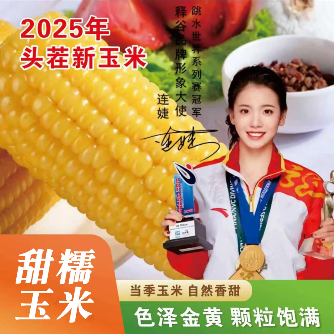 【2025年新玉米】当季甜糯玉米10穗共2kg一年一季寒地黑土