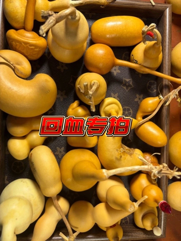 葫芦 本捻 八宝 蚂蚁 天津嘴