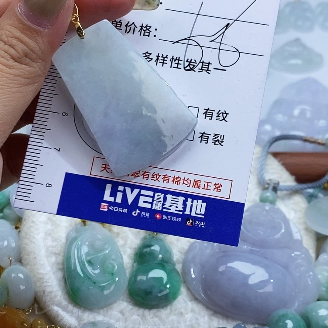 翡翠未镶嵌颈饰6344