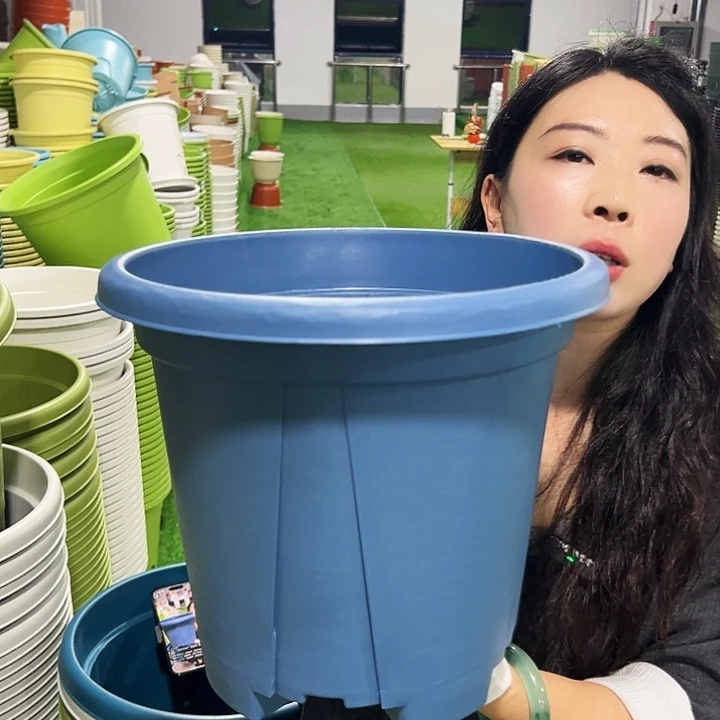 清仓青山口32高28蓝色5只无托