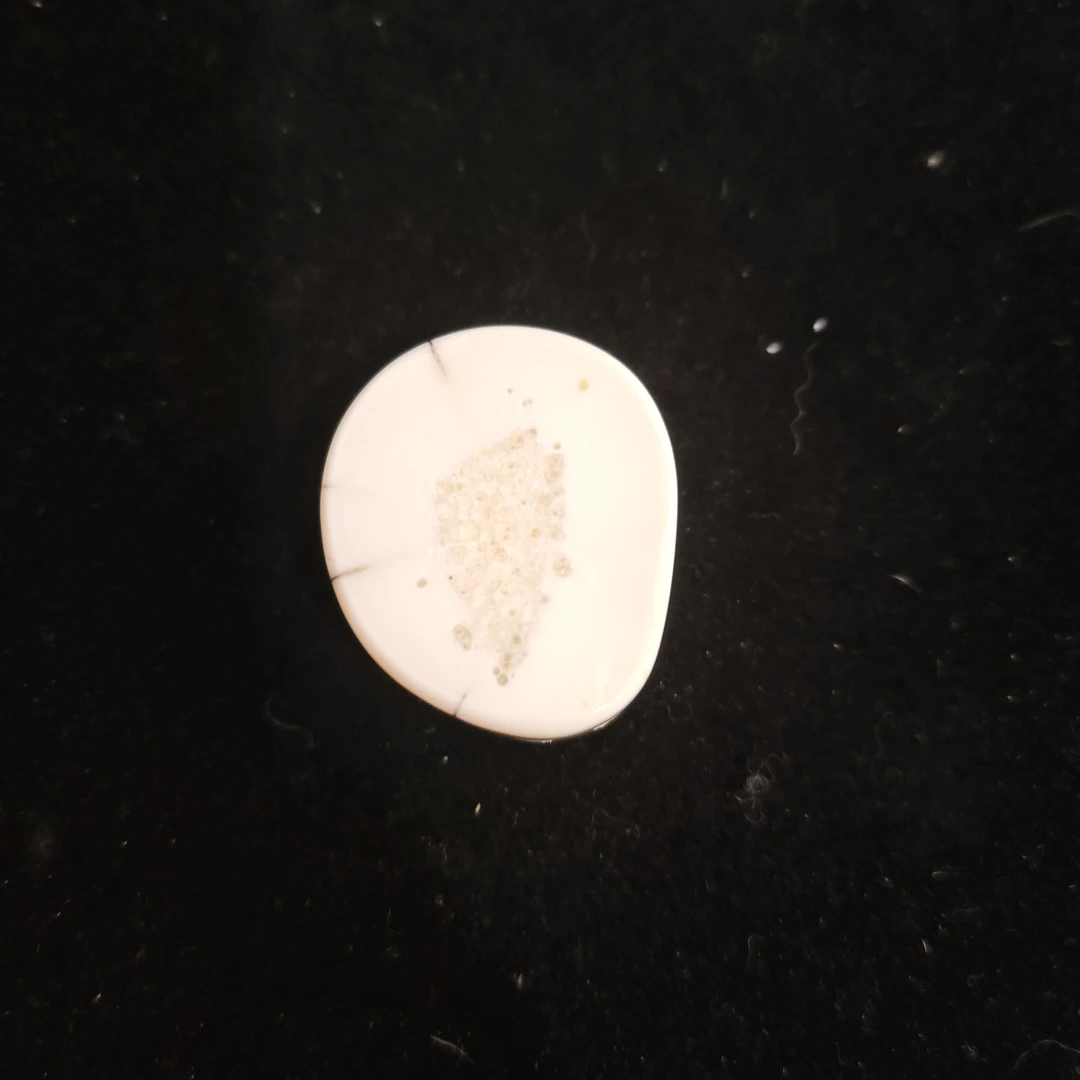 猛犸猛犸虬饼子WW891