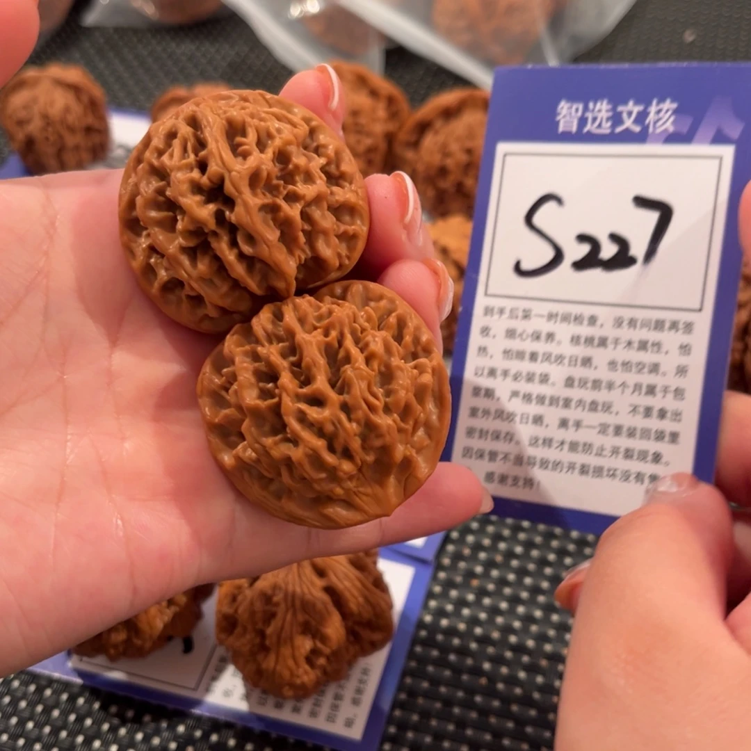 核桃S227号秦闷41尺