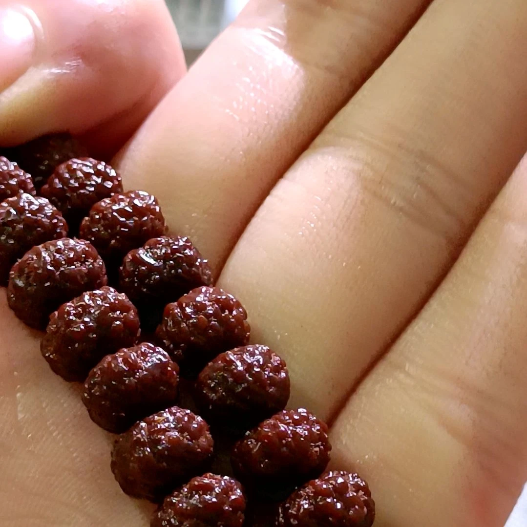 吊坠金刚菩提树王8mm