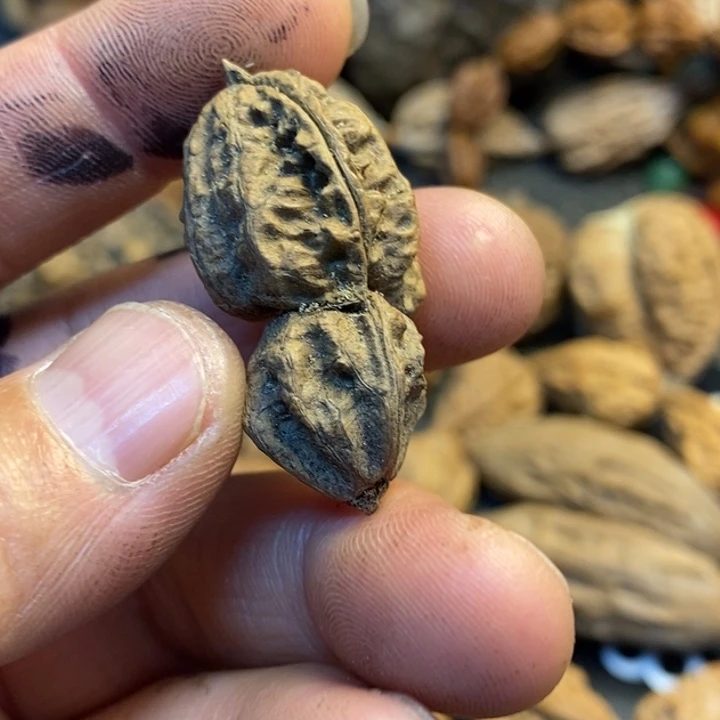 核***玩吊坠文玩核桃娜姐138