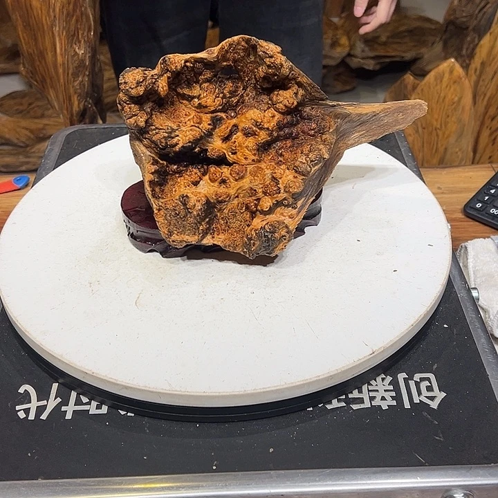 松木（琥珀木）清***流