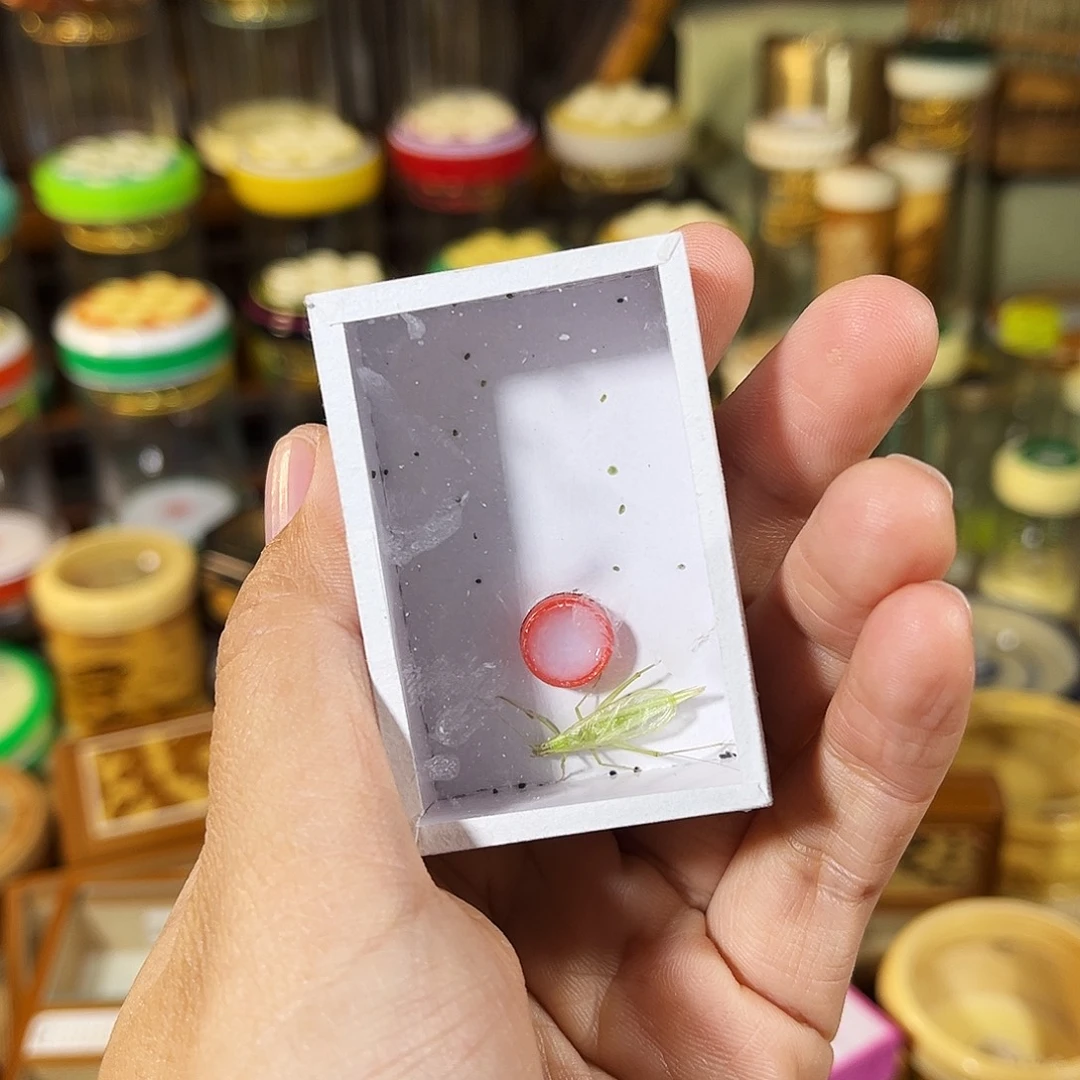 用***5蟋蟀一只青竹蛉随单