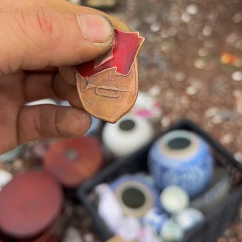 核桃木/黑胡桃（胡桃木）望*