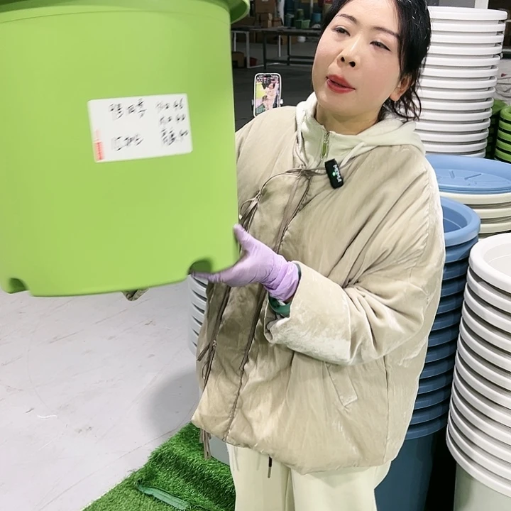 特价9号四季口46高40果绿2只无托