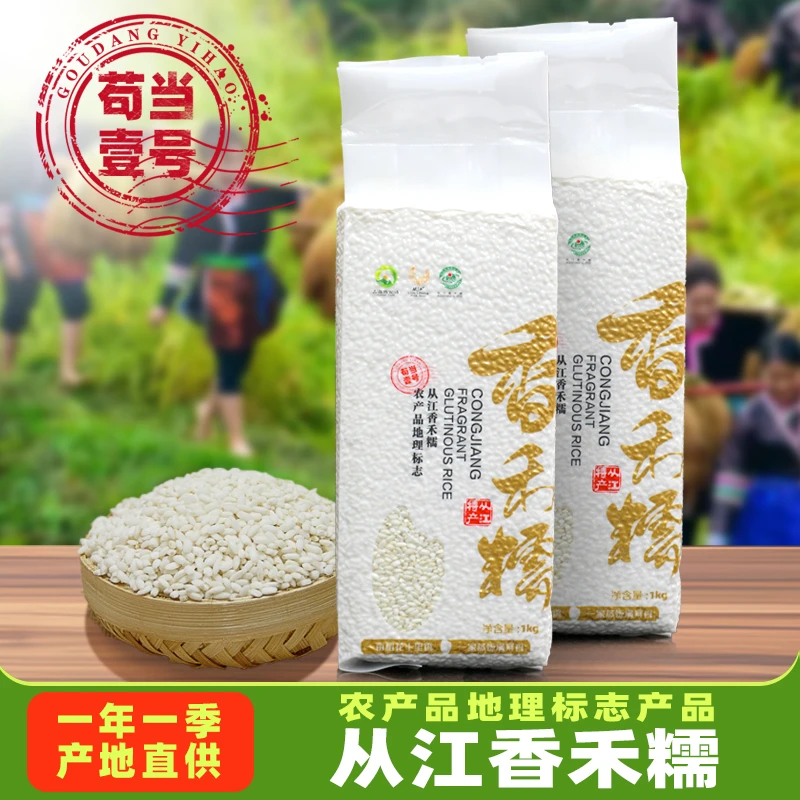 贵州从江特产高山梯田冷水老品种香禾糯1kg 真空包装包粽子新米