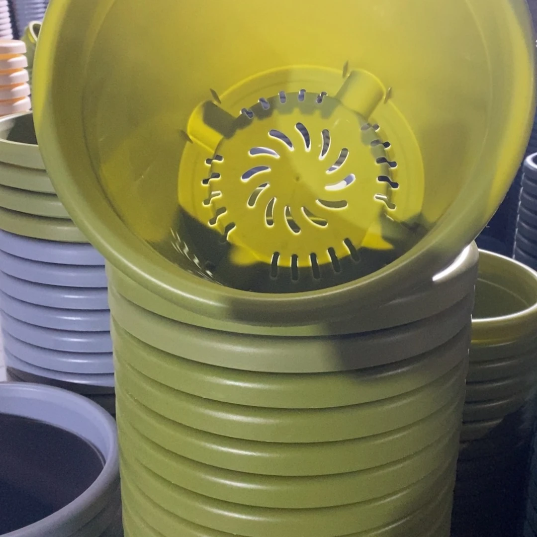 树脂四季4号10个果绿