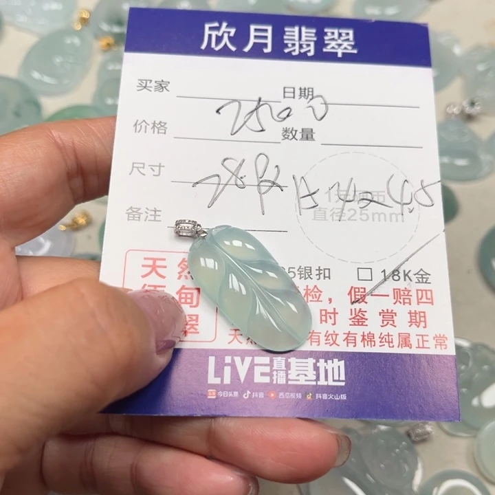 翡翠未镶嵌颈饰✨***巡天然