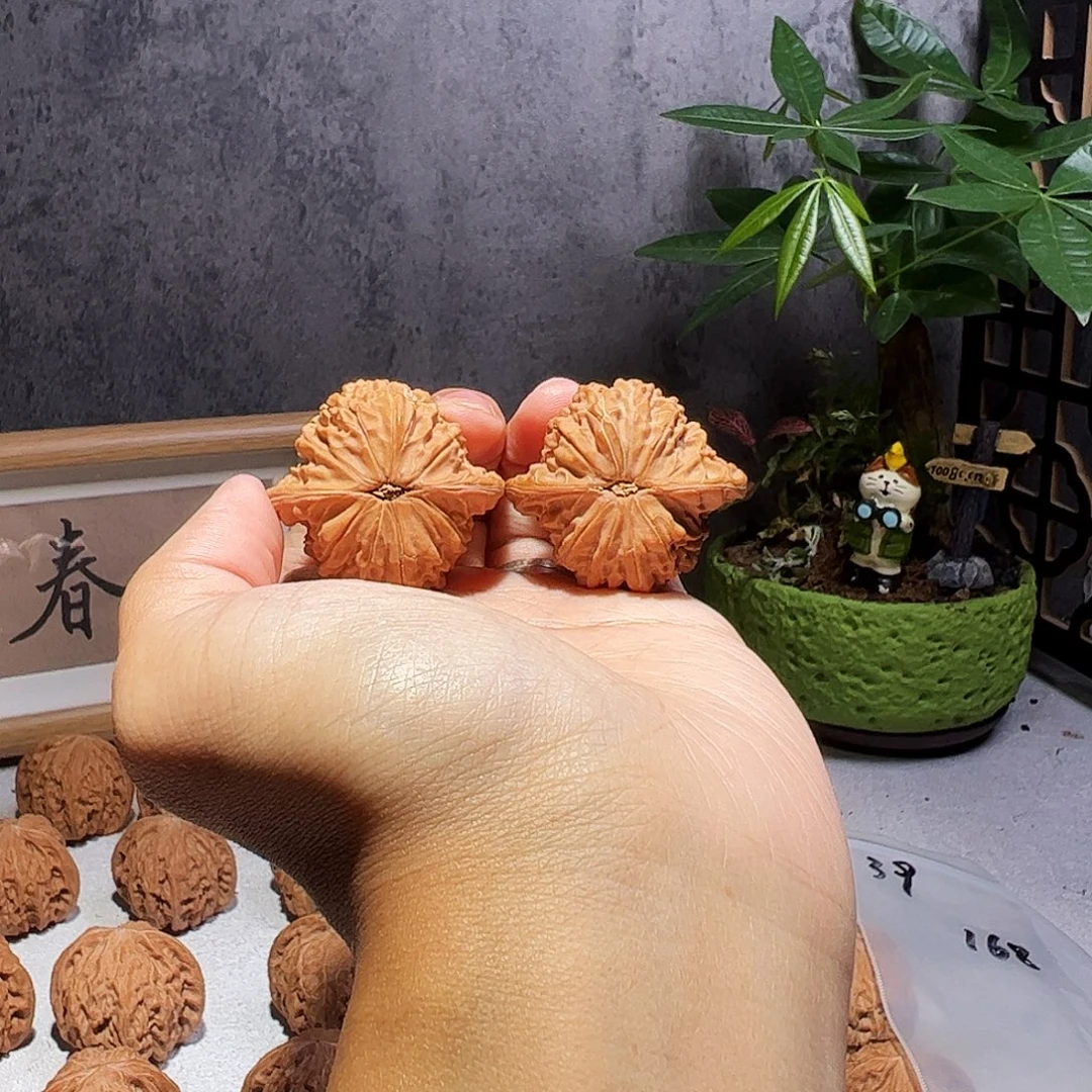 风***9核桃39房山一代山地磨全品