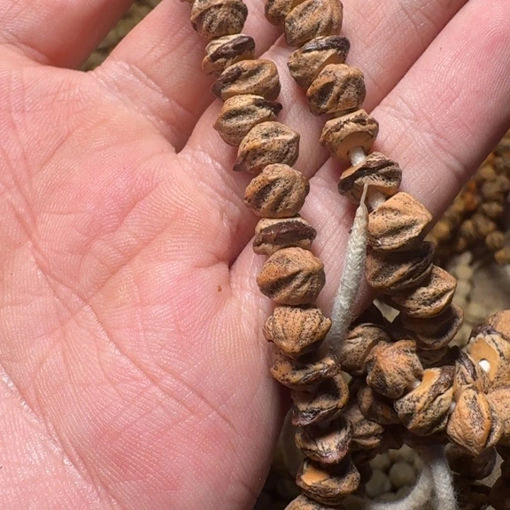 隐***狼柏香籽/百香籽吊坠