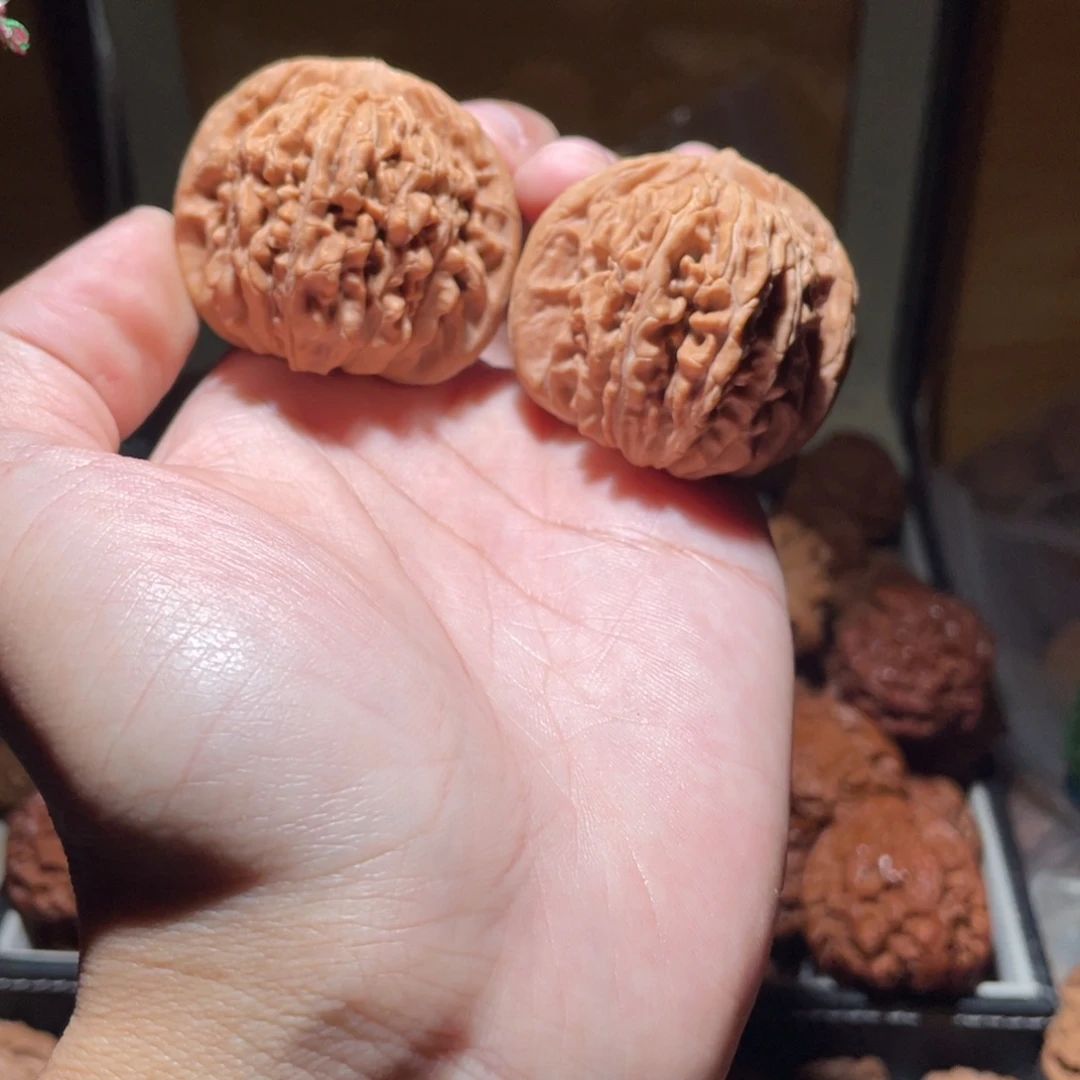 44尺寸全品无修蓟县楼