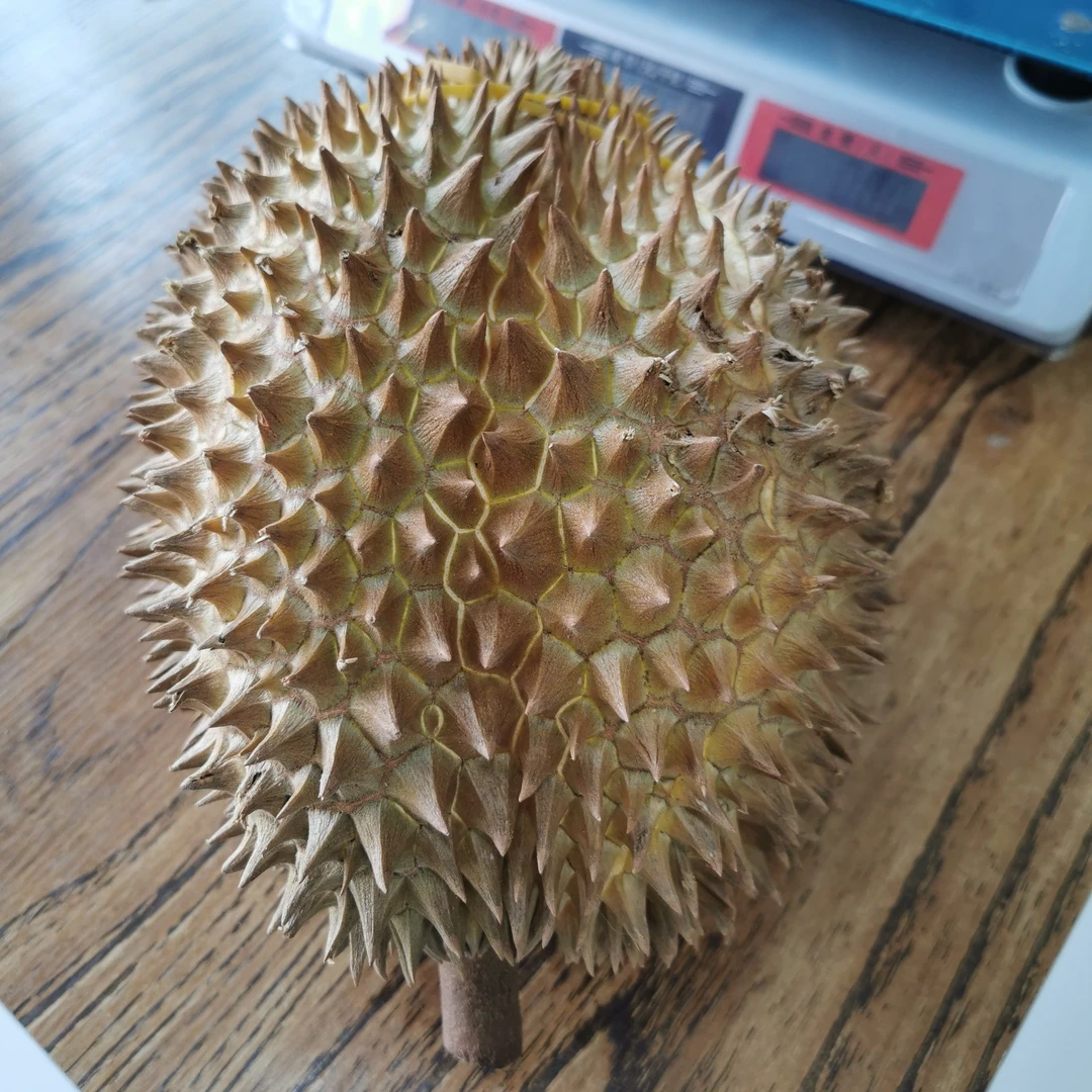 金枕鲜榴莲核小肉多500克，同城配送，金枕泰国