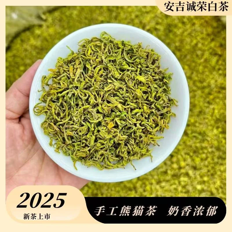 【纯手工奶白】安吉昆铜姚坞大熊猫奶白黄金芽 奶香浓郁 鲜爽回甘