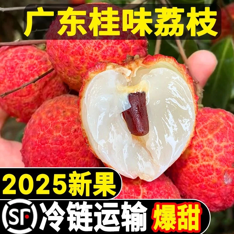 【顺丰冷链】广东正宗桂味荔枝五斤装新鲜水果现摘应季水果果园直发