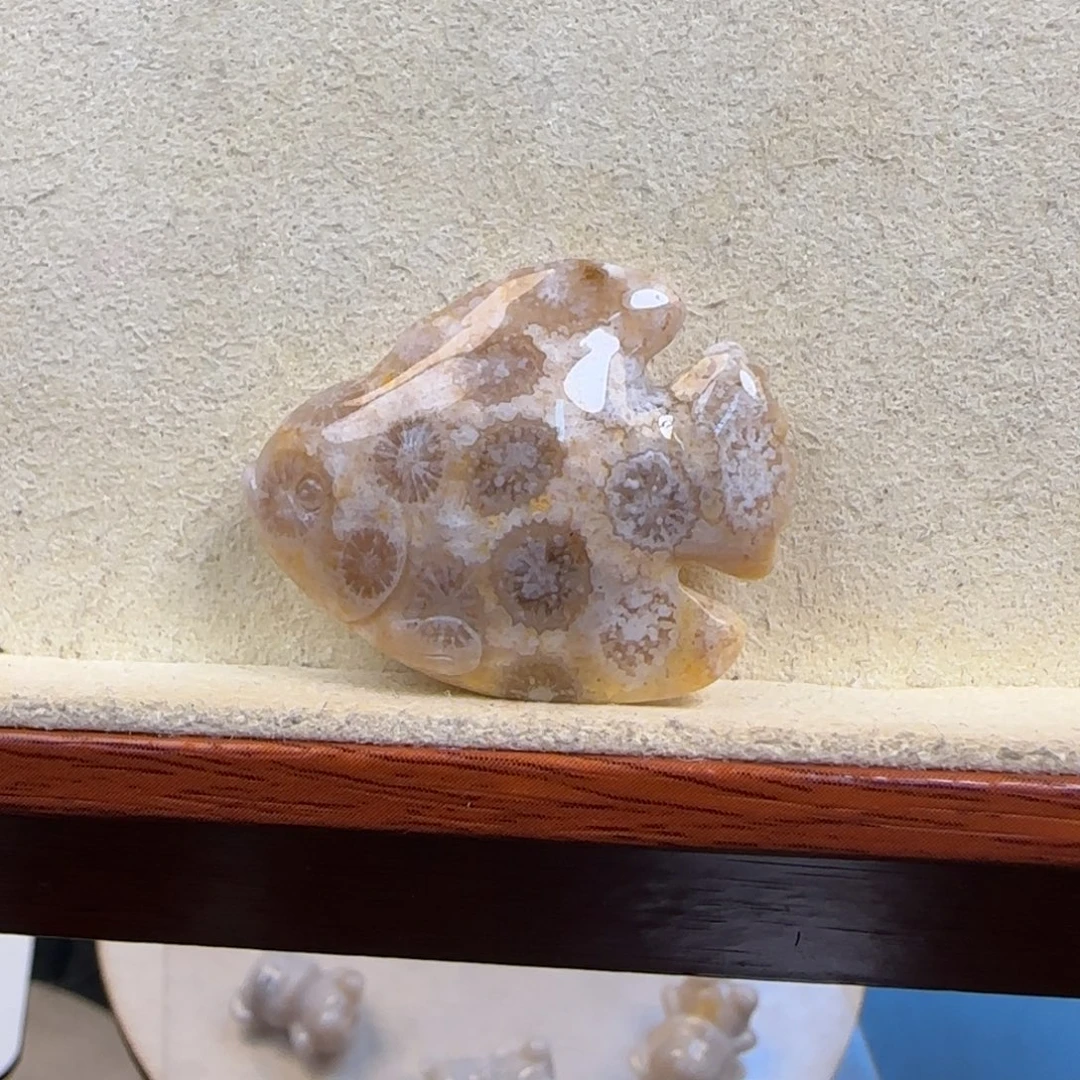 硅化珊瑚（珊瑚玉）未镶嵌颈饰